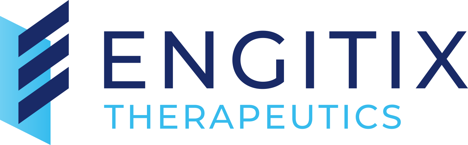 Engitix Logo RGB