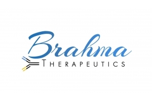Bg company logo 300 200 imagesmadeuploadscompanies Brahma Logo Updated 300 169 png 300 200 100 c c c1