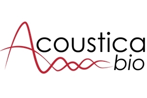 Bg company logo 300 200 uploadscompanies Acoustica Bio png 300 200 100 c c c1