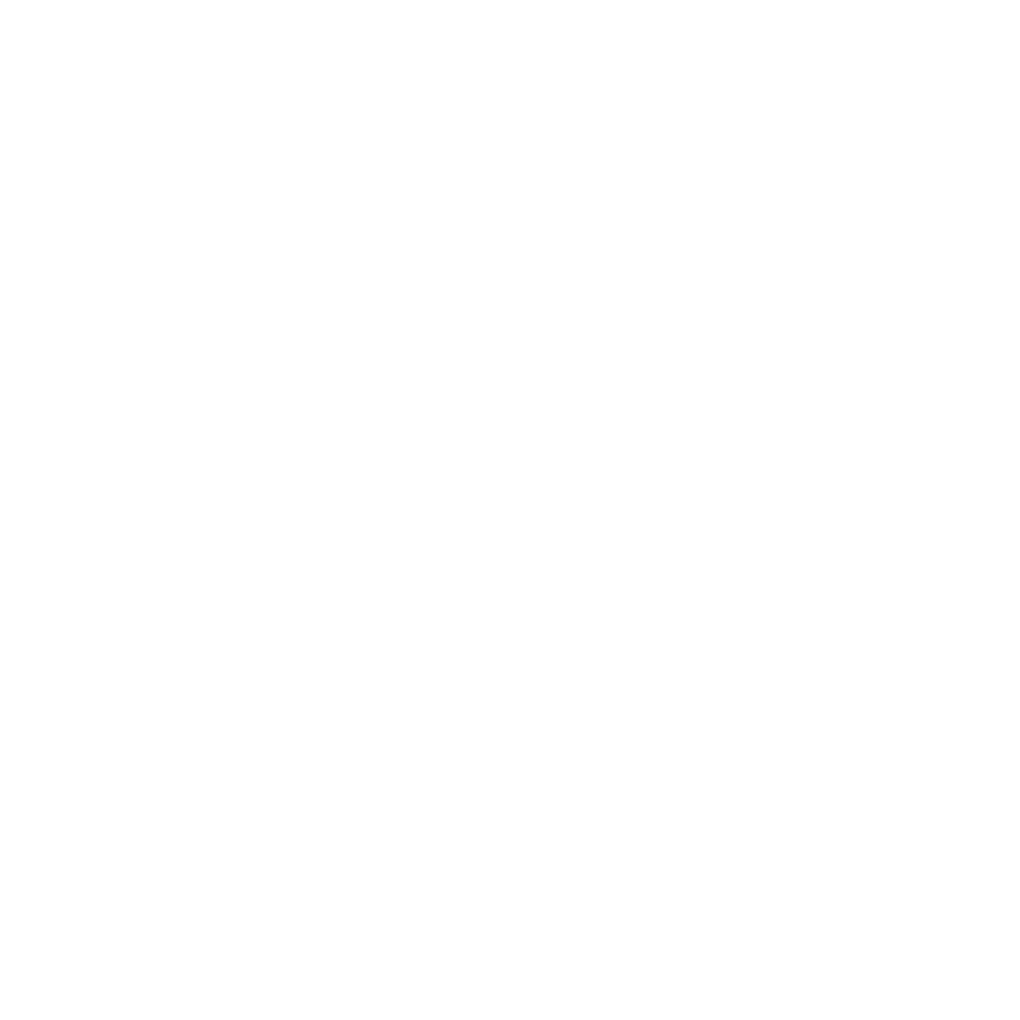 White instagram logo